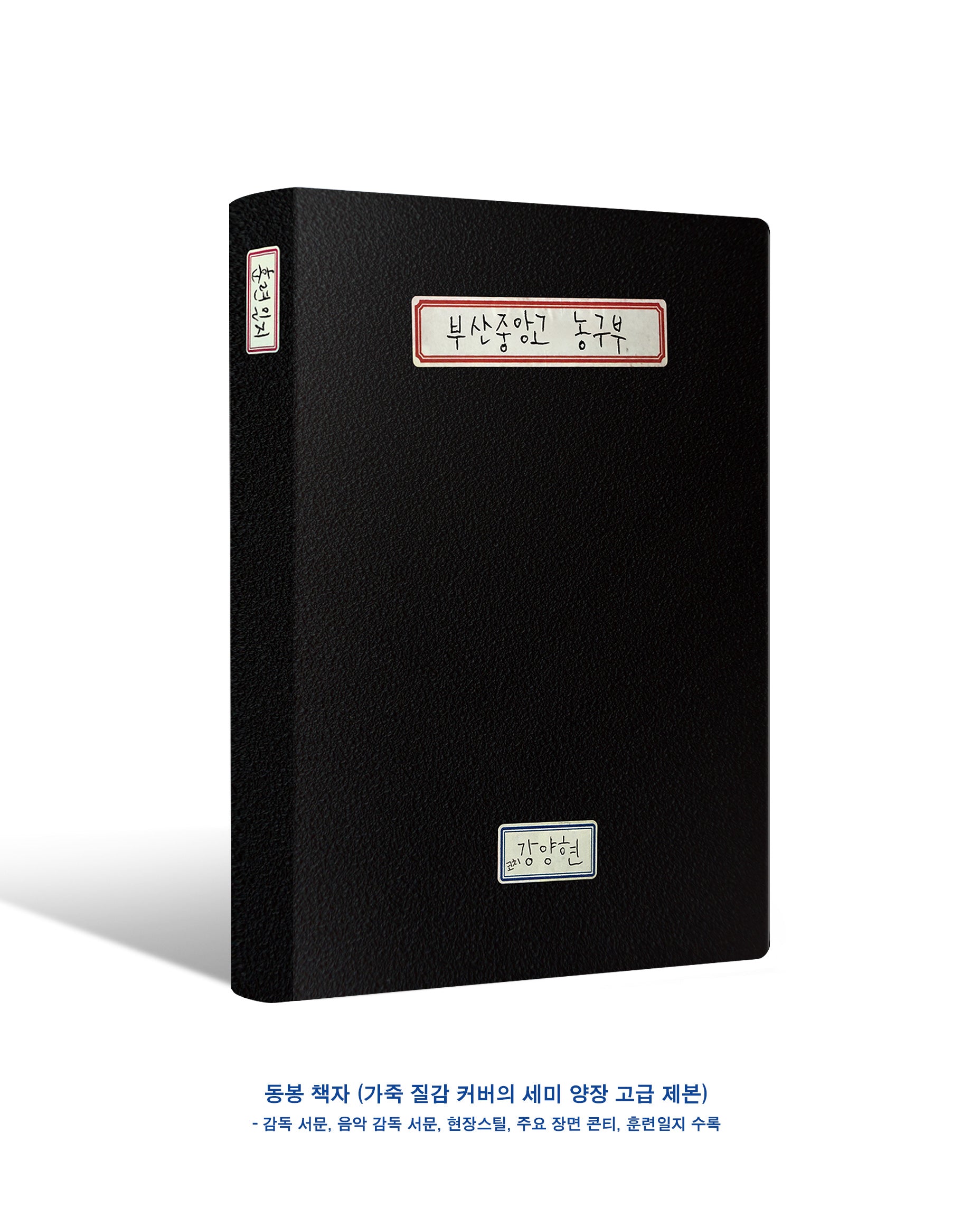 Rebound: Limited Edition