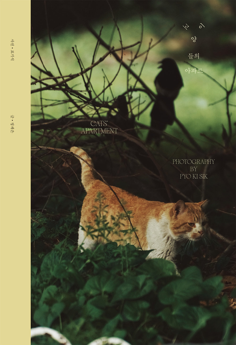 Cats’ Apartment: A Pyo Ki Sik Photobook