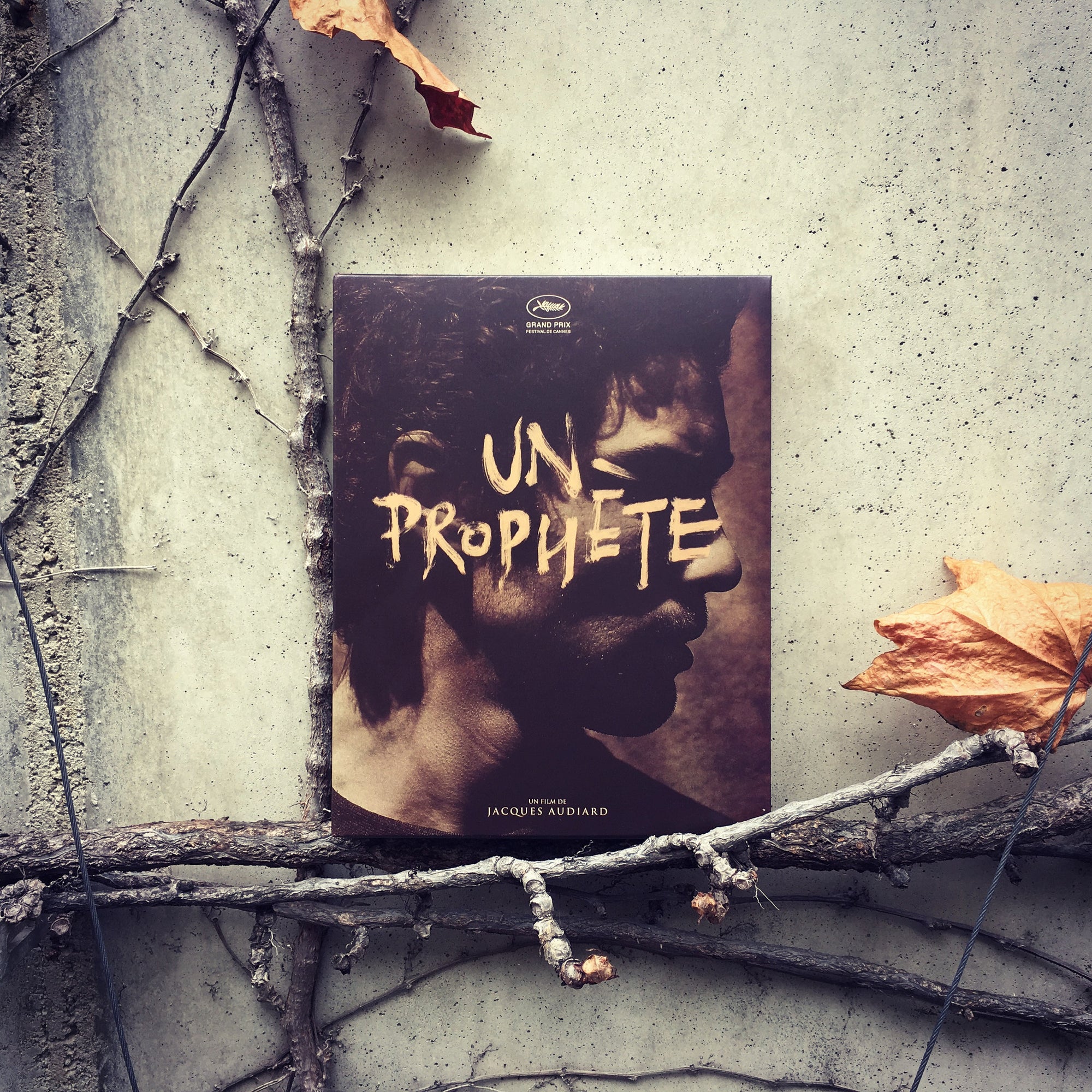 A Prophet : Exclusive & Limited Edition (PA028)